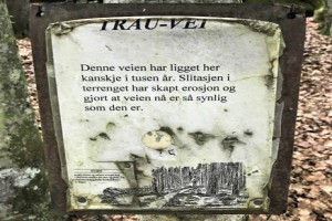 Bilde av Fokserødskogen - hulvei/trauvei